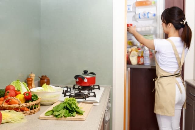 Panasonic 冷蔵庫 野菜室が真ん中(2022年)の最安値は?